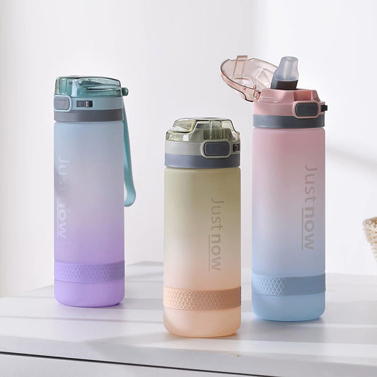 500ml/600ml professional water bottle