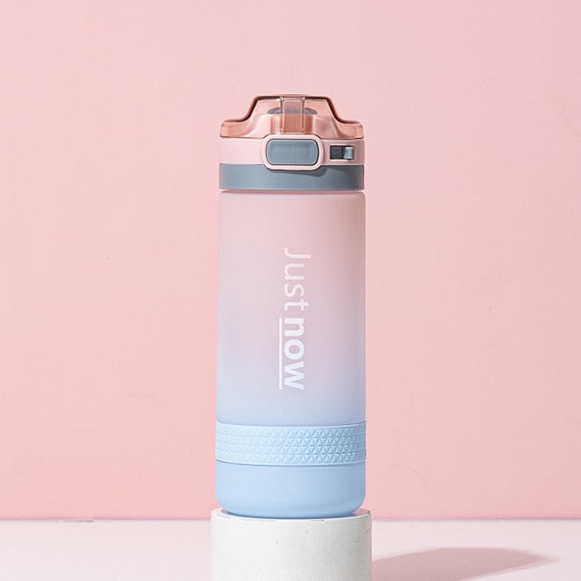 500ml/600ml professional water bottle