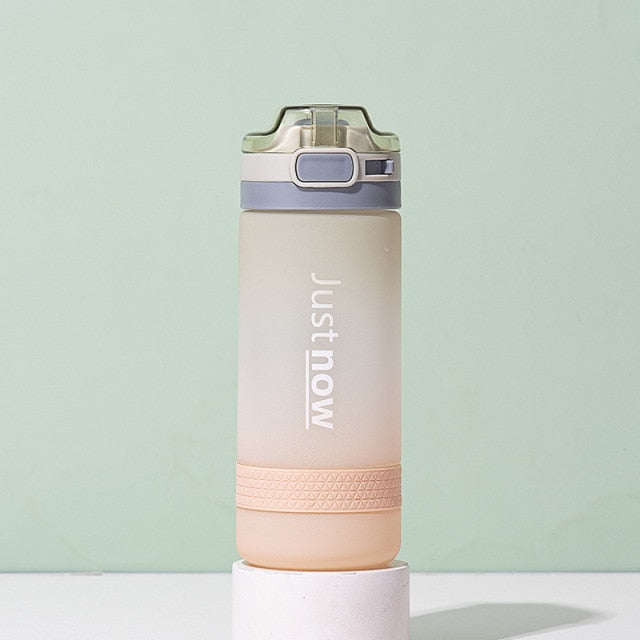 500ml/600ml professional water bottle