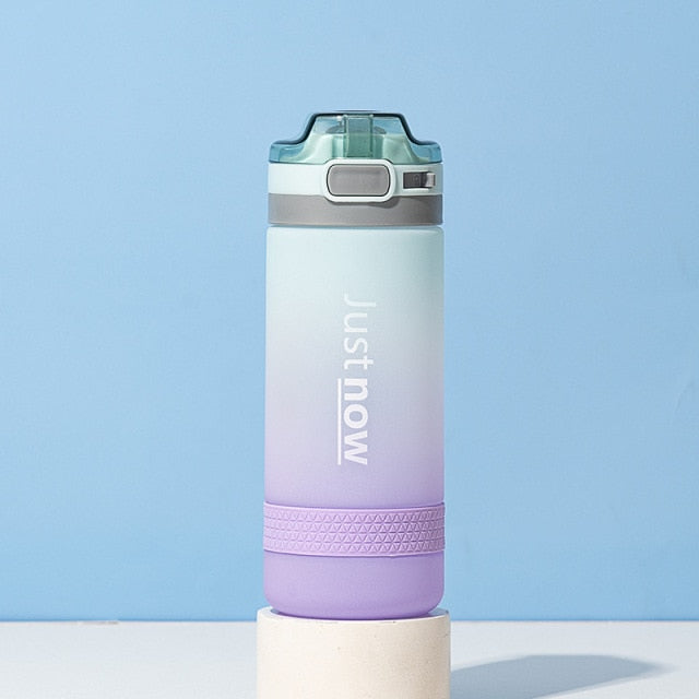 500ml/600ml professional water bottle