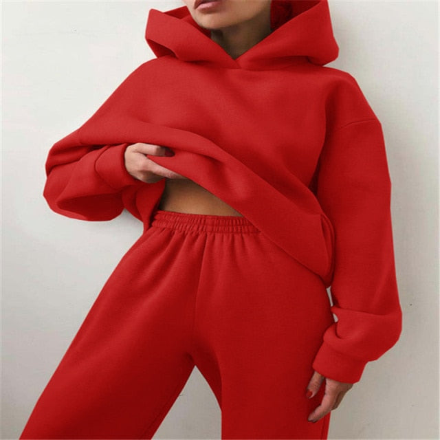 2 piece warm hooded sets- hoodie and sweatpants