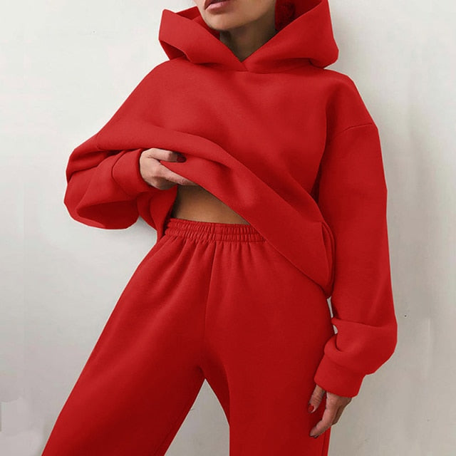 2 piece set - hoodie and sweatpants