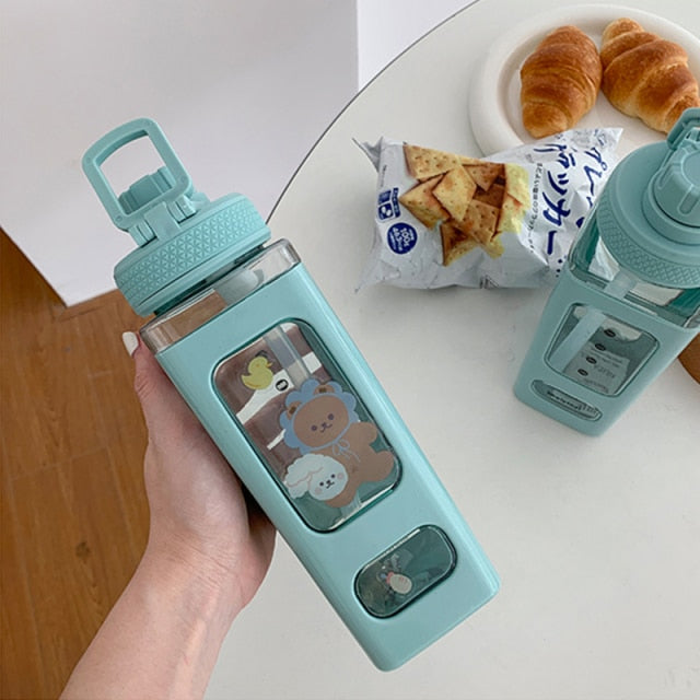 700/900 mL very cute drinking bottle