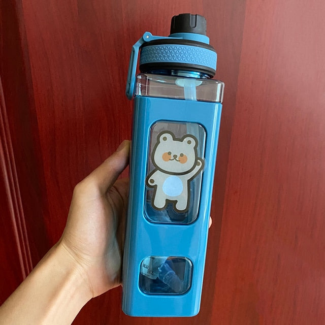 700/900 mL very cute drinking bottle